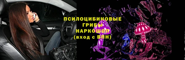 apvp Алзамай