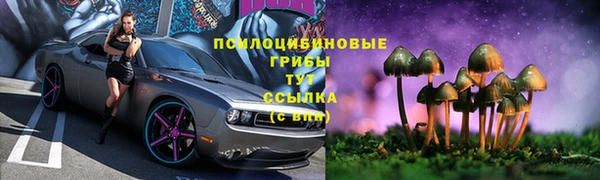 ECSTASY Аркадак