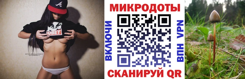 Псилоцибиновые грибы Psilocybine cubensis  blacksprut как войти  Рославль 